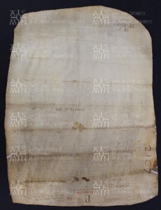 11 B.7.XIv, Donazione fatta da Gosberto e Imelda sua nipote a favore di Varino vescovo, Modena, [1012-1013, dic. 29-30]